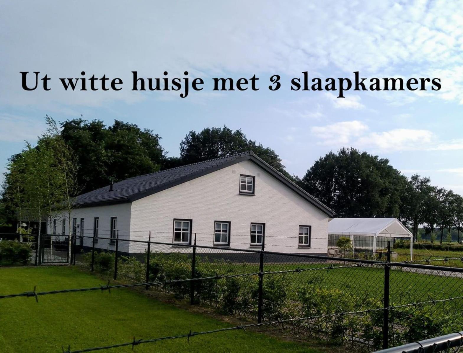 Ut Witte *